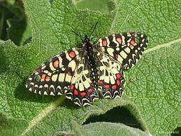 Casa Adega - Quinta Amoreira