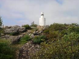 Casa Adega - Quinta Amoreira