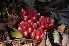 Casa Adega - Quinta Amoreira