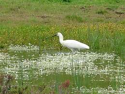 Casa Adega - Quinta Amoreira