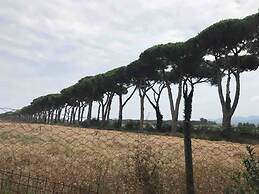 On Holiday Between Sky And Sea Geco Di Campiglia pet Friendly big Gard