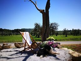On Holiday Between Sky And Sea Geco Di Campiglia pet Friendly big Gard