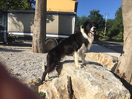 On Holiday Between Sky And Sea Geco Di Campiglia pet Friendly big Gard