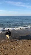 On Holiday Between Sky And Sea Geco Di Campiglia pet Friendly big Gard