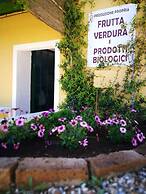 On Holiday Between Sky And Sea Geco Di Campiglia pet Friendly big Gard