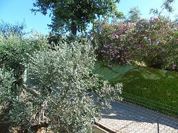 On Holiday Between Sky And Sea Geco Di Campiglia pet Friendly big Gard