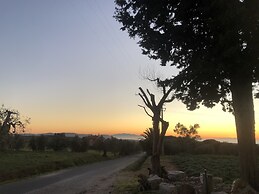On Holiday Between Sky And Sea Geco Di Campiglia pet Friendly big Gard