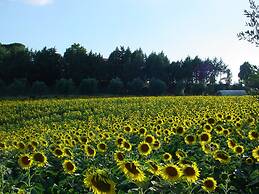 Podere Caldaruccio La Pineta - Bungalow
