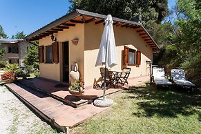 Podere Caldaruccio La Pineta - Bungalow