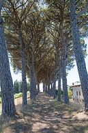 Podere Caldaruccio La Pineta - Bungalow