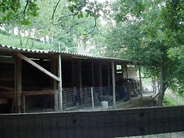 Podere Caldaruccio La Pineta - Bungalow