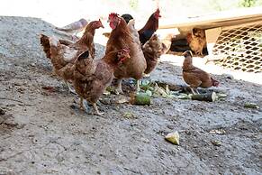 Podere Caldaruccio La Pineta - Bungalow