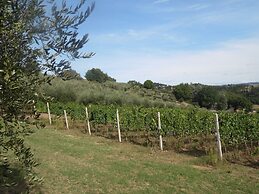 Podere Caldaruccio La Pineta - Bungalow
