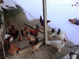 Podere Caldaruccio La Pineta - Bungalow