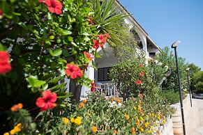 Sea Front Apartment 5 Beds With Balcony 250 Meters From the Beach
