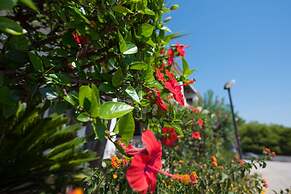 Sea Front Apartment 4 Beds With Balcony 250 Meters From the Beach