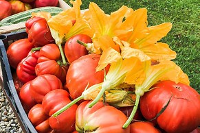 Agriturismo Bellosguardo - Apartament 45 Person