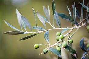 Agriturismo Bellosguardo - Apartament 45 Person