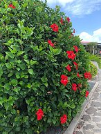 Lovely Apartment in Flic en Flac, Close to the Lovely Beach and all Am