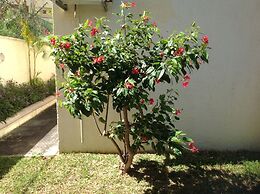 Lovely Apartment in Flic en Flac, Close to the Lovely Beach and all Am