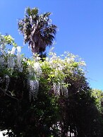 Maison Alighieri Oasi Verde