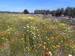 Maison Alighieri Oasi Verde