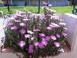 Maison Alighieri Oasi Verde