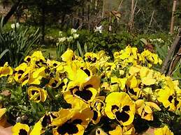 Adorable Tuscan Cottage With Beautiful Garden Just Outside Lucca, Slee