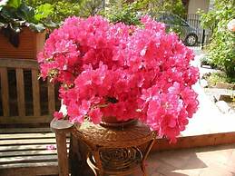 Adorable Tuscan Cottage With Beautiful Garden Just Outside Lucca, Slee