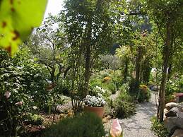 Adorable Tuscan Cottage With Beautiful Garden Just Outside Lucca, Slee
