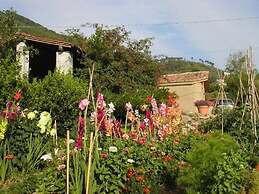 Adorable Tuscan Cottage With Beautiful Garden Just Outside Lucca, Slee
