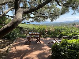 Domus Olivarum - Costa Smeralda 7 Guest and 2 Pk Wifi A - C big Garden