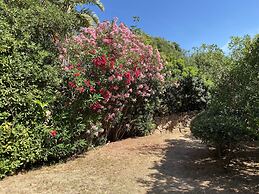 Domus Olivarum - Costa Smeralda 7 Guest and 2 Pk Wifi A - C big Garden