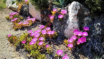 Trullo Dell Orto Ostuni