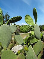 Trullo Dell Orto Ostuni