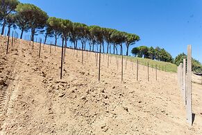 Podere Caldaruccio La Pineta - 26 People Cottage & Villa