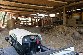 Podere Caldaruccio La Pineta - 26 People Cottage & Villa