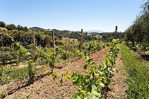 Podere Caldaruccio La Pineta - 26 People Cottage & Villa