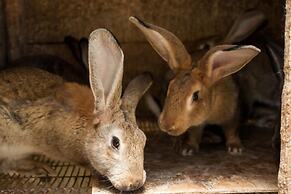 Podere Caldaruccio La Pineta - 26 People Cottage & Villa