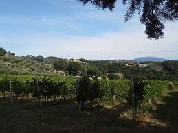 Podere Caldaruccio La Pineta - 26 People Cottage & Villa