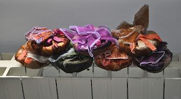 Movida Fiorentina in the Hearth of the Center of Firenze