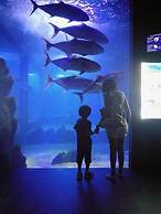 Casa Gianni Cala Gonone Mare