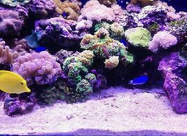 Casa Gianni Cala Gonone Mare