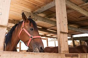 Podere Caldaruccio La Pineta - Cottage Umbertide