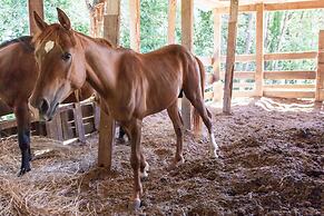 Podere Caldaruccio La Pineta - Cottage Umbertide