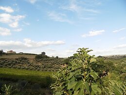 Podere Caldaruccio La Pineta - Cottage Umbertide