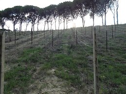 Podere Caldaruccio La Pineta - Cottage Umbertide