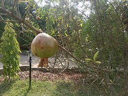 Room in Lodge - Plastic Bottles House
