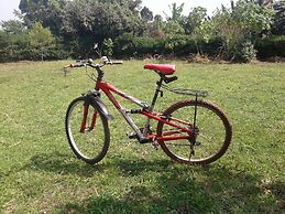Room in Lodge - Plastic Bottles House