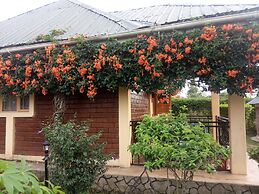 Room in Lodge - Plastic Bottles House